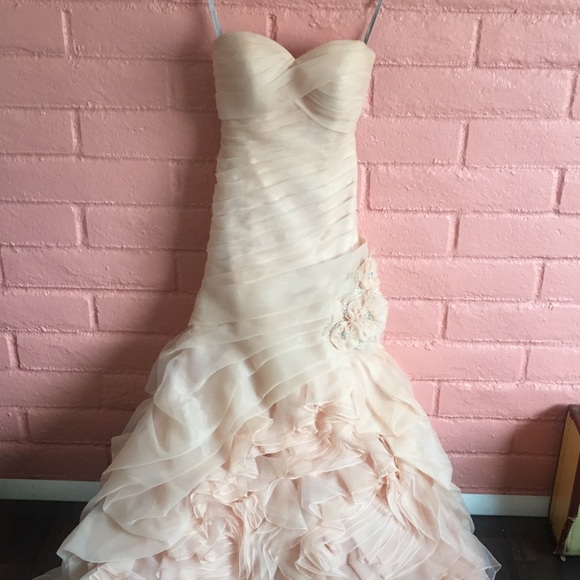 Dresses & Skirts - Blush wedding gown